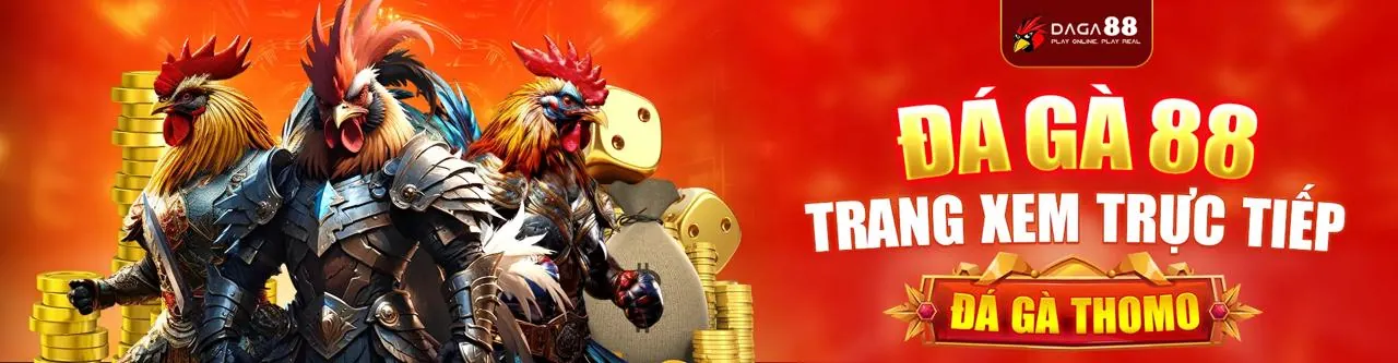 Đá Gà Trực Tuyến tại no789 Đăng Nhập